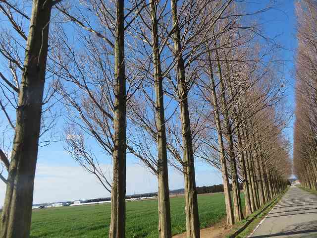 f:id:mannenNA:20200206182234j:plain