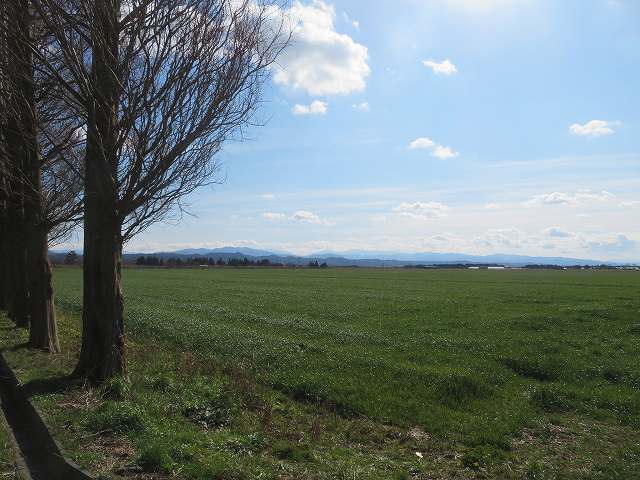 f:id:mannenNA:20200206182301j:plain