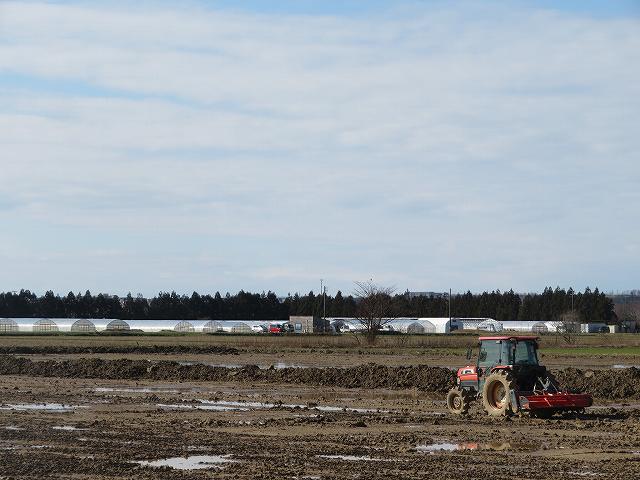 f:id:mannenNA:20200206182401j:plain