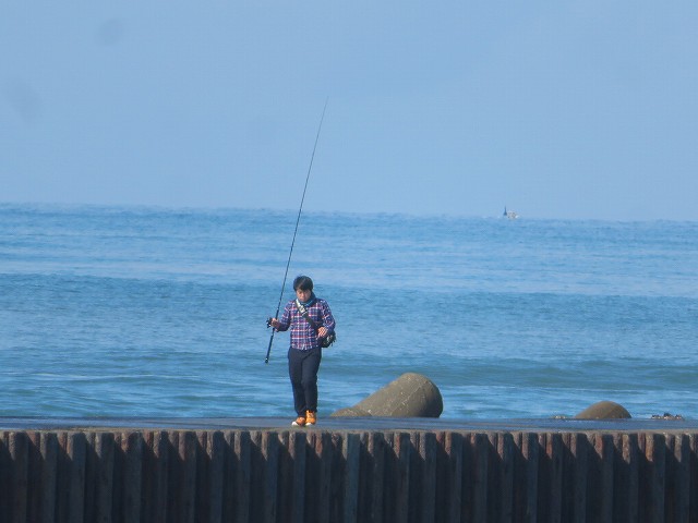 f:id:mannenNA:20200207185146j:plain f:id:mannenNA:20200207185146j:plain