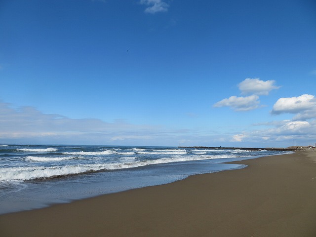 f:id:mannenNA:20200207185350j:plain f:id:mannenNA:20200207185350j:plain