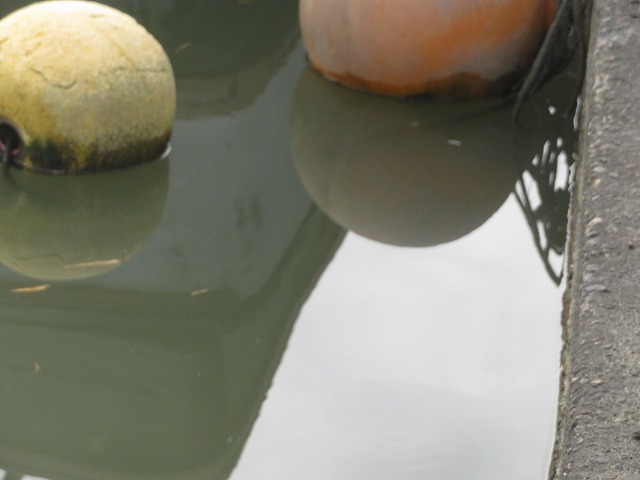 f:id:mannenNA:20200207185607j:plain f:id:mannenNA:20200207185607j:plain