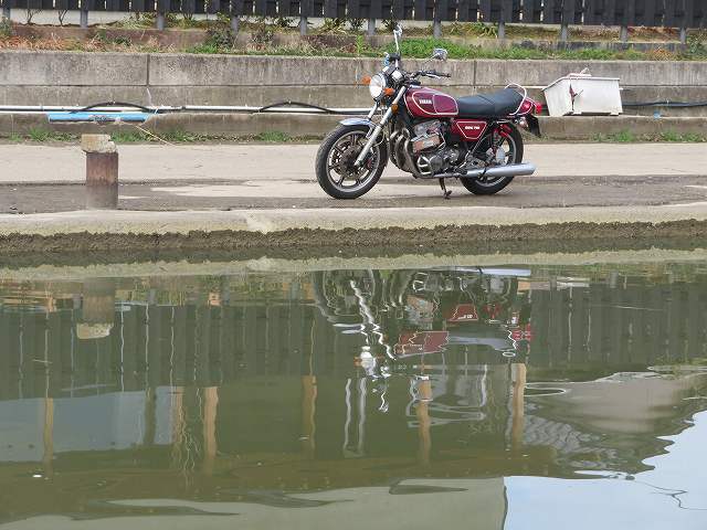 f:id:mannenNA:20200207185955j:plain f:id:mannenNA:20200207185955j:plain