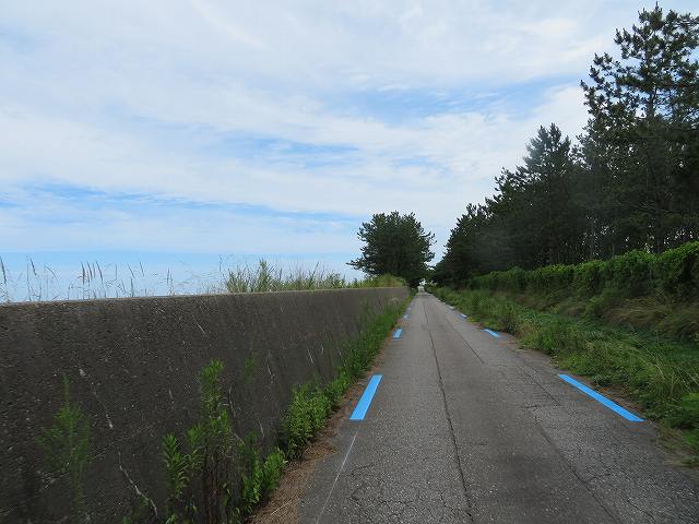 f:id:mannenNA:20200210191349j:plain f:id:mannenNA:20200210191349j:plain