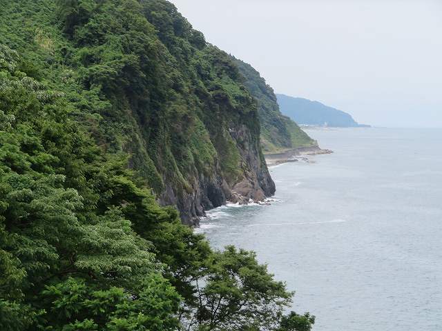 f:id:mannenNA:20200210191544j:plain f:id:mannenNA:20200210191544j:plain