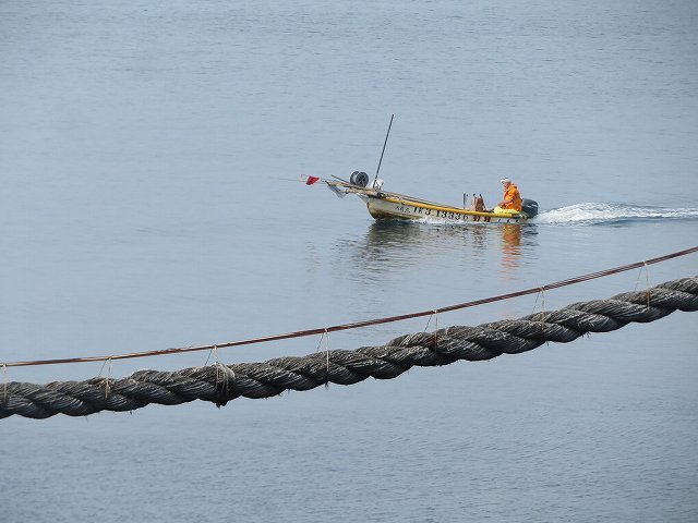 f:id:mannenNA:20200218195852j:plain