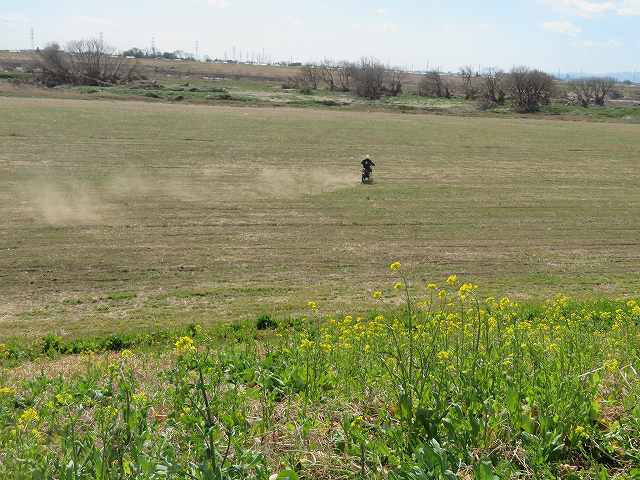 f:id:mannenNA:20200224011354j:plain