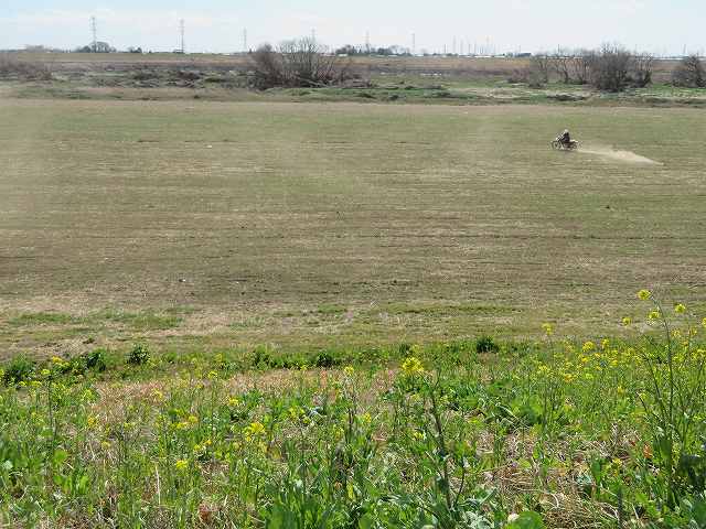 f:id:mannenNA:20200224011409j:plain