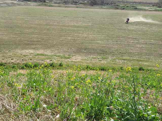 f:id:mannenNA:20200224011423j:plain