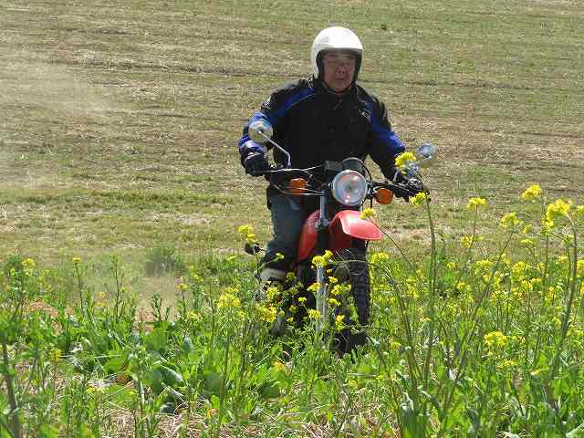 f:id:mannenNA:20200224011447j:plain