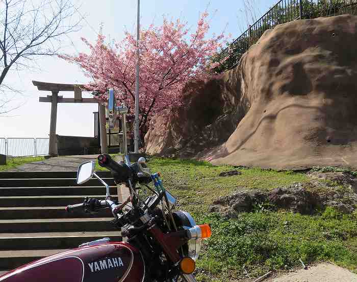 f:id:mannenNA:20200301190041j:plain