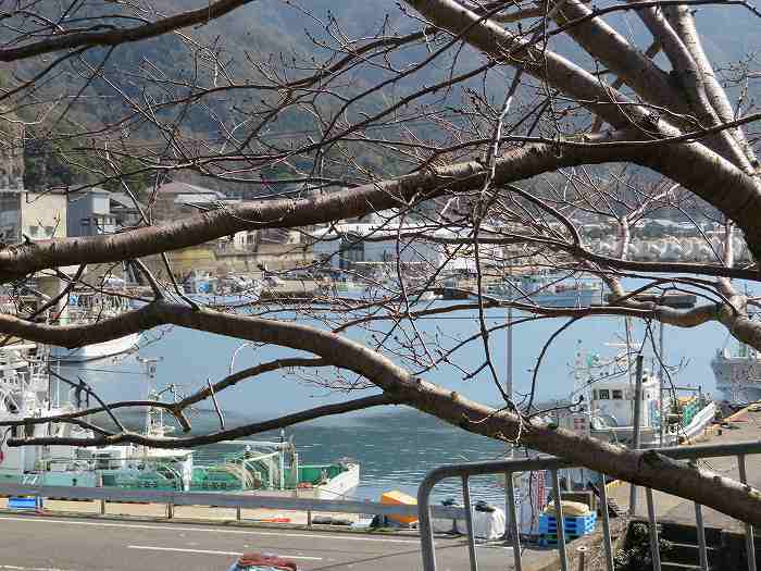 f:id:mannenNA:20200301190113j:plain