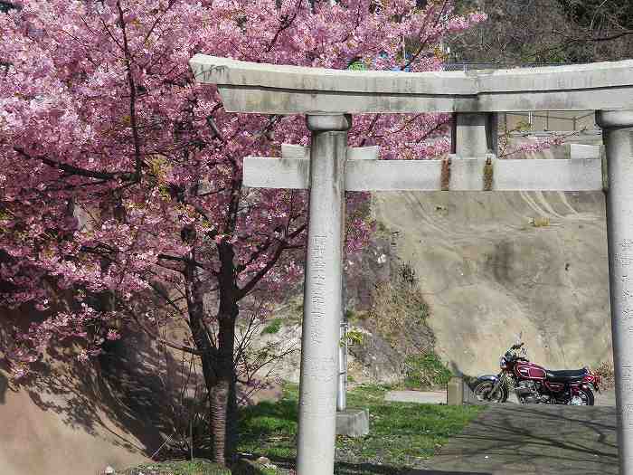 f:id:mannenNA:20200301191827j:plain