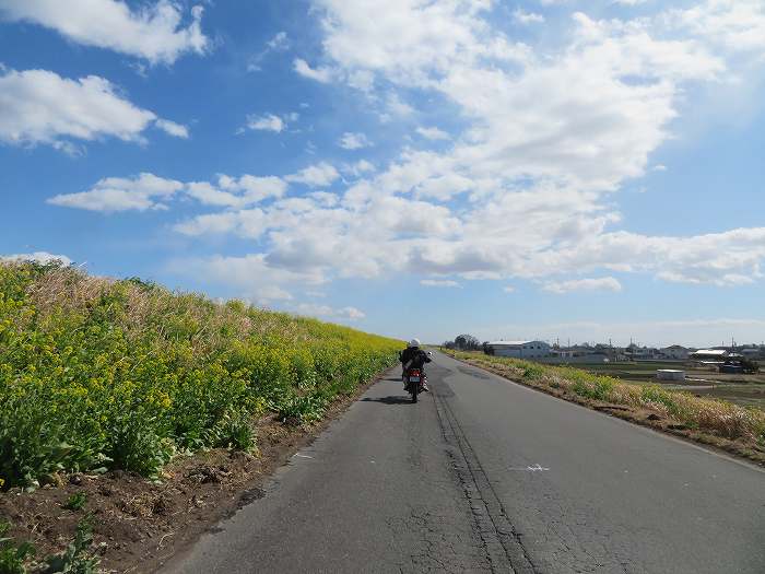 f:id:mannenNA:20200306190609j:plain f:id:mannenNA:20200306190609j:plain