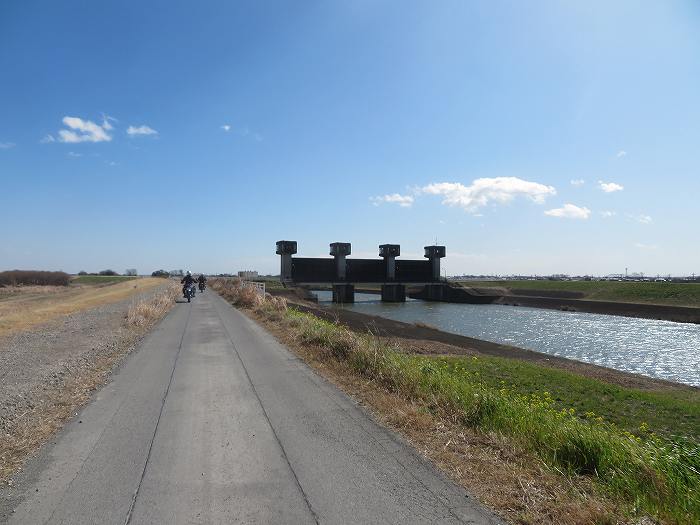 f:id:mannenNA:20200306191140j:plain f:id:mannenNA:20200306191140j:plain