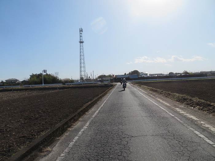 f:id:mannenNA:20200307221236j:plain