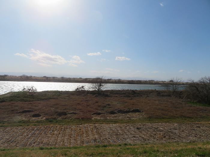 f:id:mannenNA:20200307221302j:plain