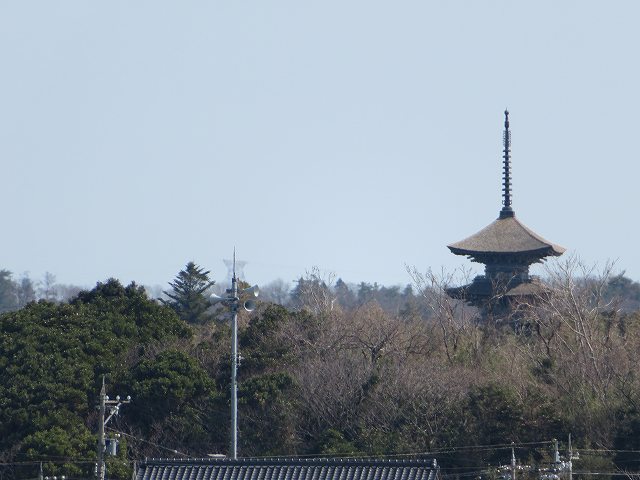 f:id:mannenNA:20200309183851j:plain