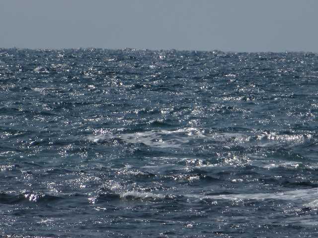 f:id:mannenNA:20200309184324j:plain