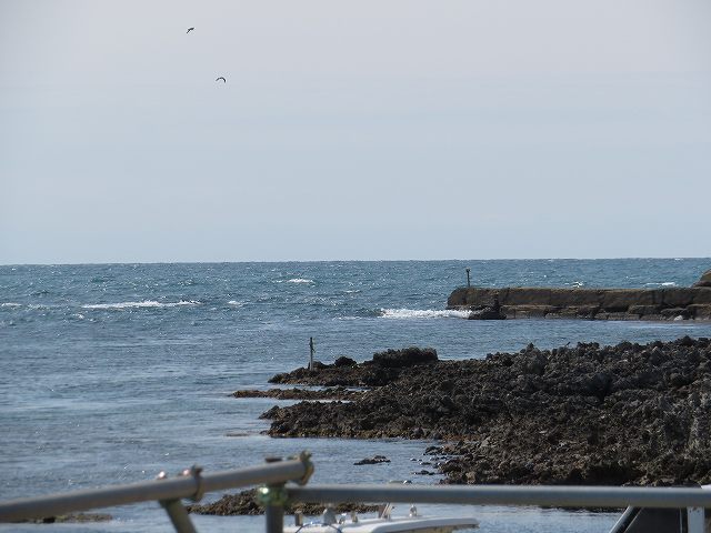 f:id:mannenNA:20200309184416j:plain