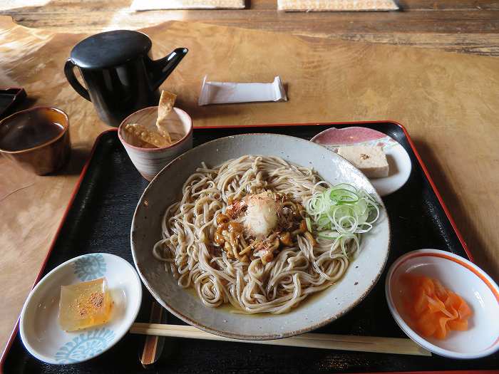 f:id:mannenNA:20200323185256j:plain f:id:mannenNA:20200323185256j:plain