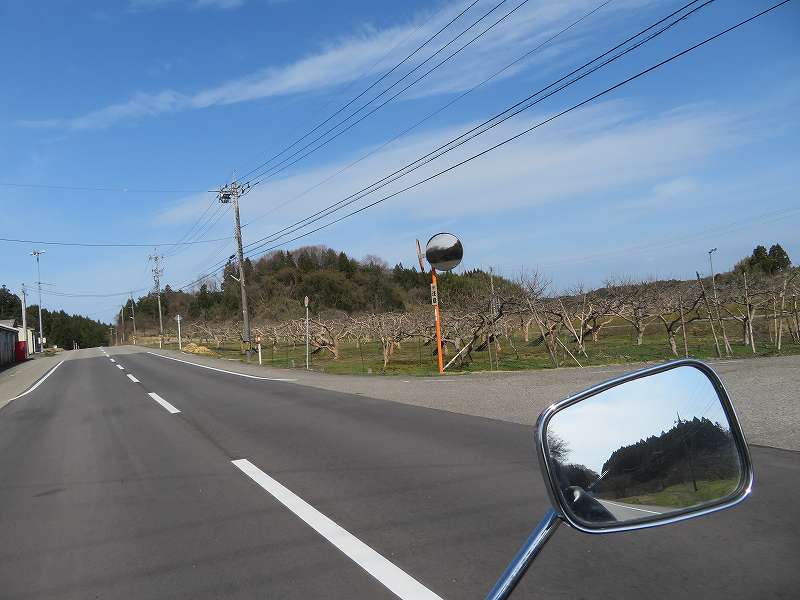 f:id:mannenNA:20200325190925j:plain f:id:mannenNA:20200325190925j:plain