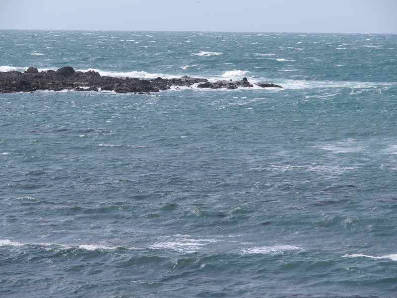 f:id:mannenNA:20200325191214j:plain f:id:mannenNA:20200325191214j:plain