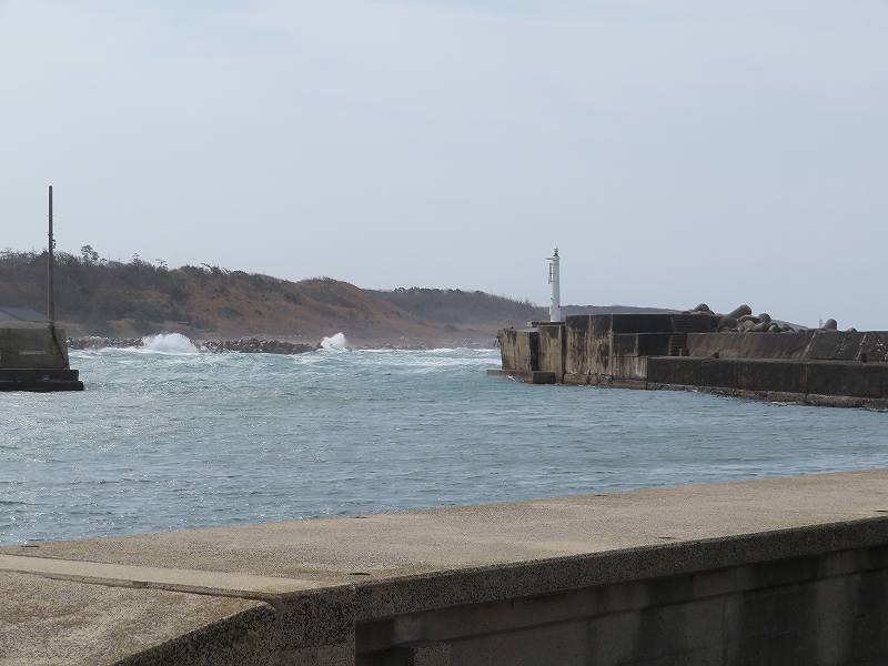 f:id:mannenNA:20200325191531j:plain f:id:mannenNA:20200325191531j:plain