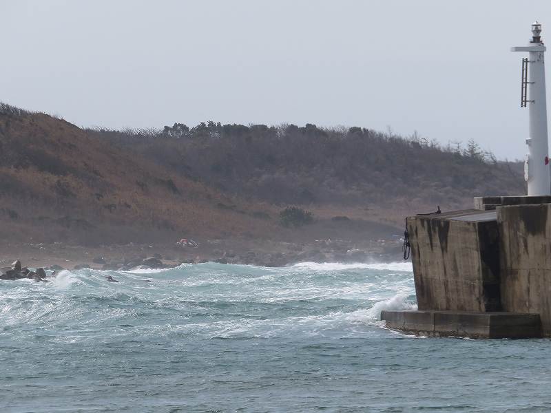 f:id:mannenNA:20200325191549j:plain f:id:mannenNA:20200325191549j:plain