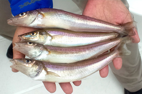 f:id:mannenNA:20200325203526j:plain f:id:mannenNA:20200325203526j:plain