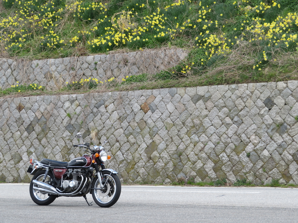 f:id:mannenNA:20200329193956j:plain f:id:mannenNA:20200329193956j:plain