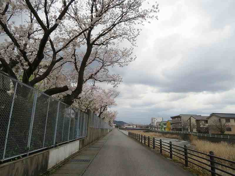 f:id:mannenNA:20200405204951j:plain f:id:mannenNA:20200405204951j:plain