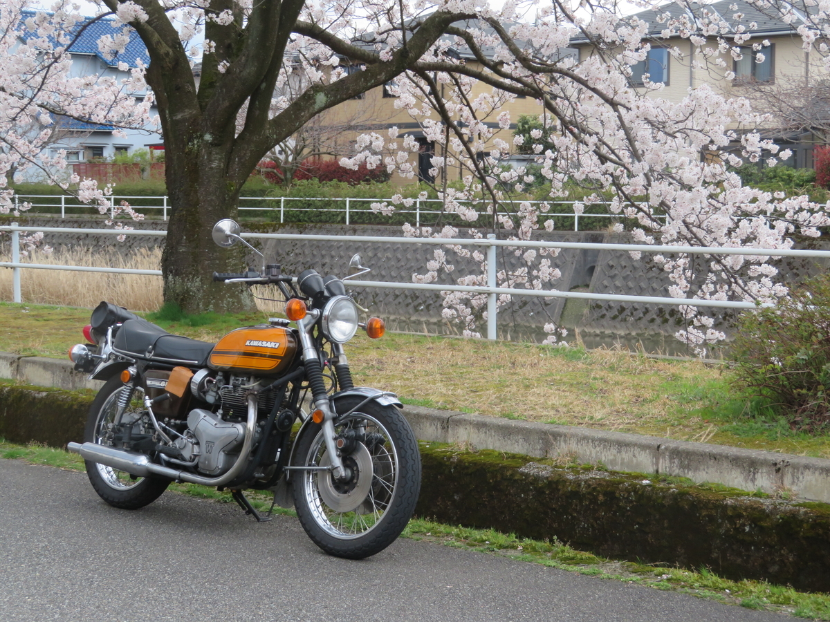 f:id:mannenNA:20200405205031j:plain f:id:mannenNA:20200405205031j:plain