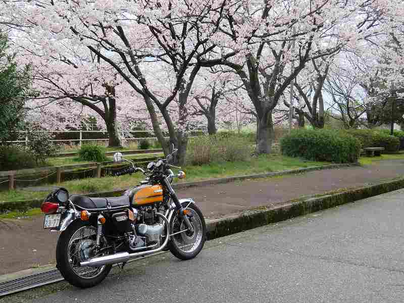 f:id:mannenNA:20200405205222j:plain f:id:mannenNA:20200405205222j:plain