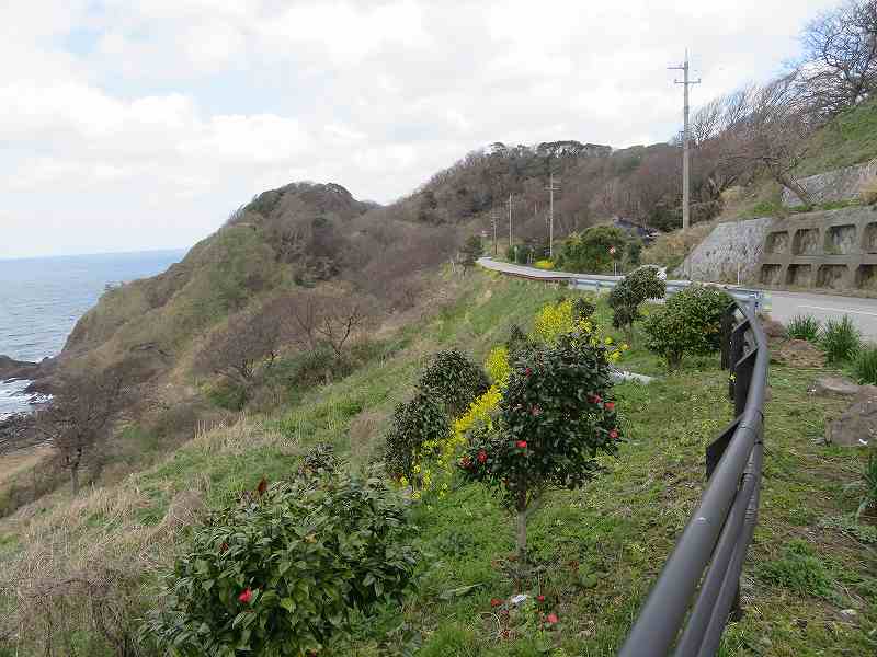 f:id:mannenNA:20200408194519j:plain