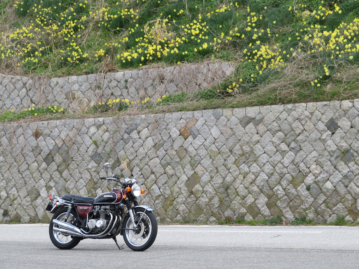 f:id:mannenNA:20200408194711j:plain