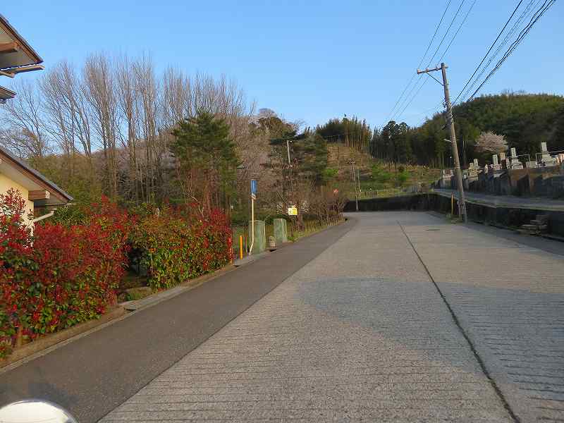 f:id:mannenNA:20200409181124j:plain