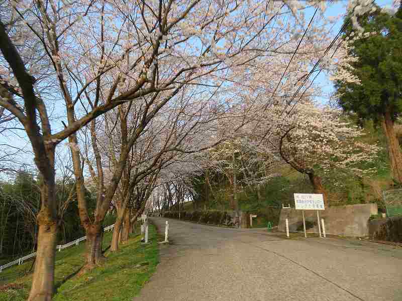 f:id:mannenNA:20200409181138j:plain