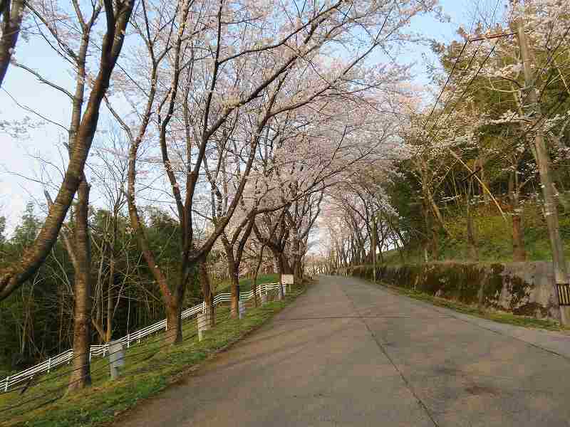 f:id:mannenNA:20200409181154j:plain