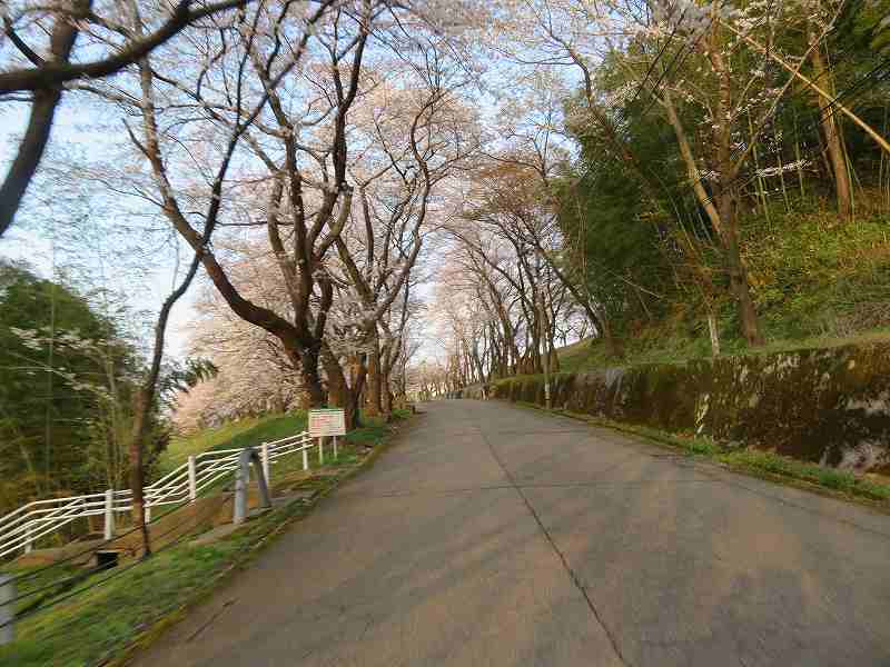 f:id:mannenNA:20200409181210j:plain