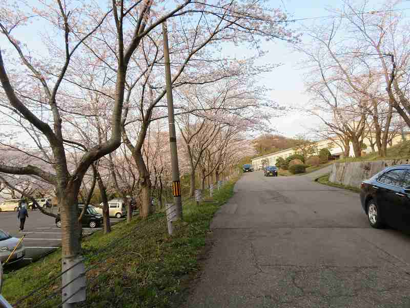 f:id:mannenNA:20200409181250j:plain