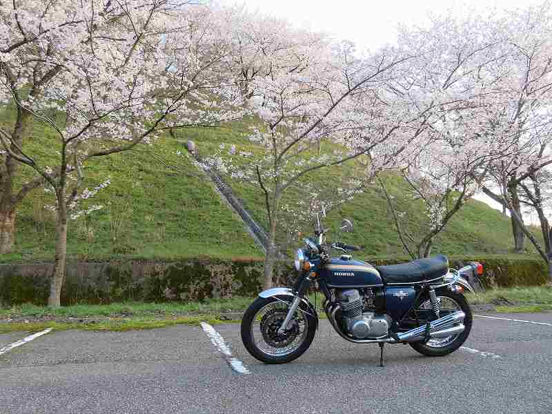 f:id:mannenNA:20200409181328j:plain