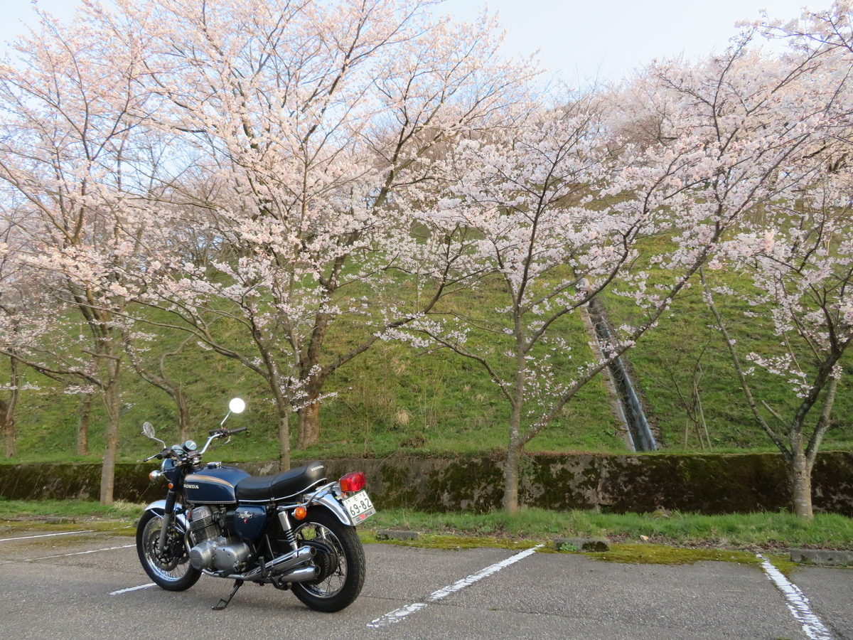 f:id:mannenNA:20200409181656j:plain