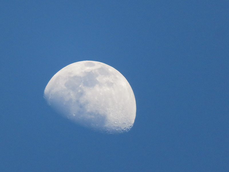 f:id:mannenNA:20200412092404j:plain f:id:mannenNA:20200412092404j:plain