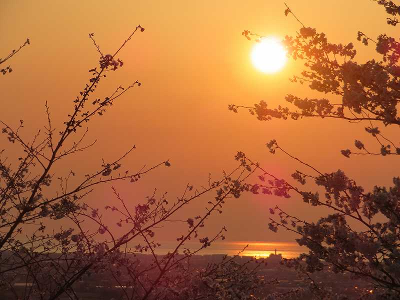 f:id:mannenNA:20200412092428j:plain f:id:mannenNA:20200412092428j:plain