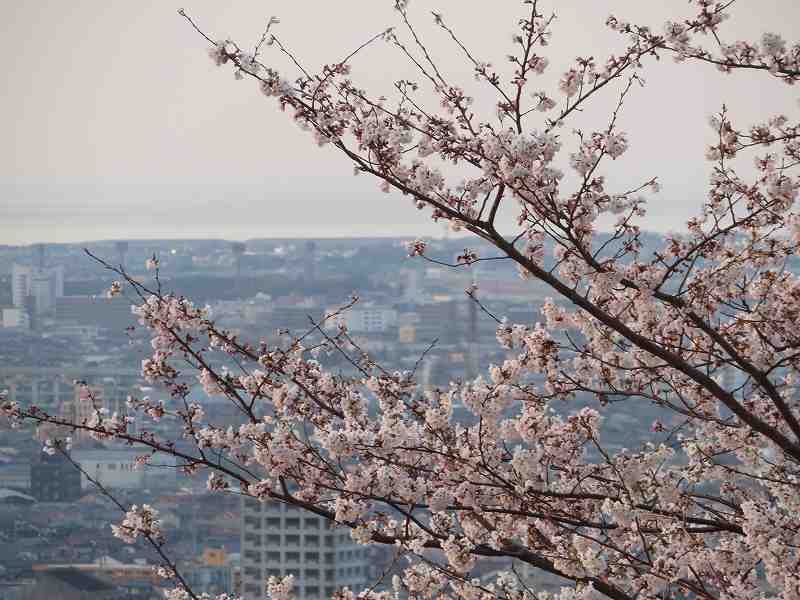 f:id:mannenNA:20200412092614j:plain f:id:mannenNA:20200412092614j:plain