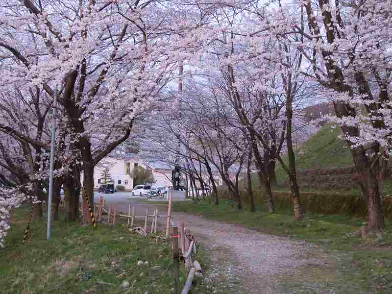 f:id:mannenNA:20200412093100j:plain f:id:mannenNA:20200412093100j:plain