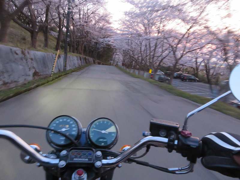 f:id:mannenNA:20200412093117j:plain f:id:mannenNA:20200412093117j:plain