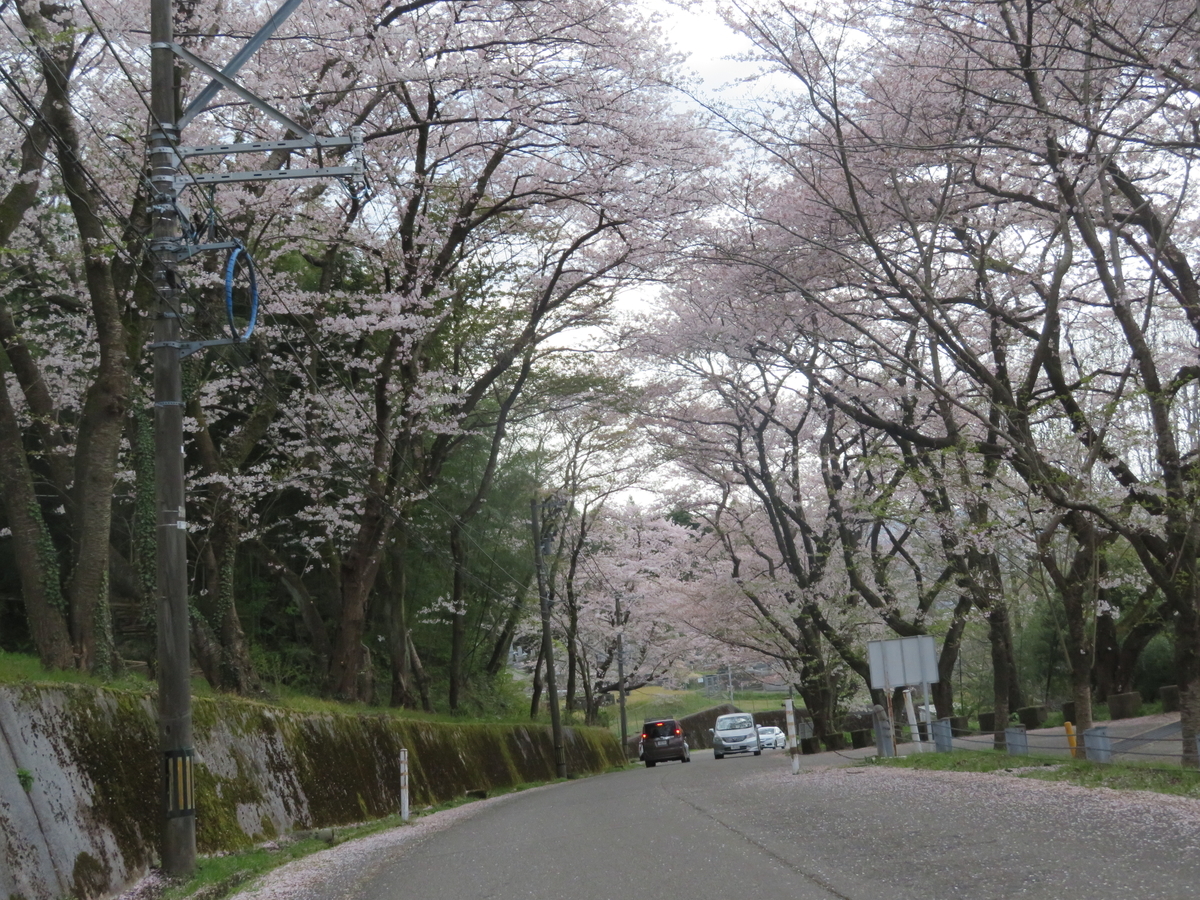 f:id:mannenNA:20200415195720j:plain f:id:mannenNA:20200415195720j:plain