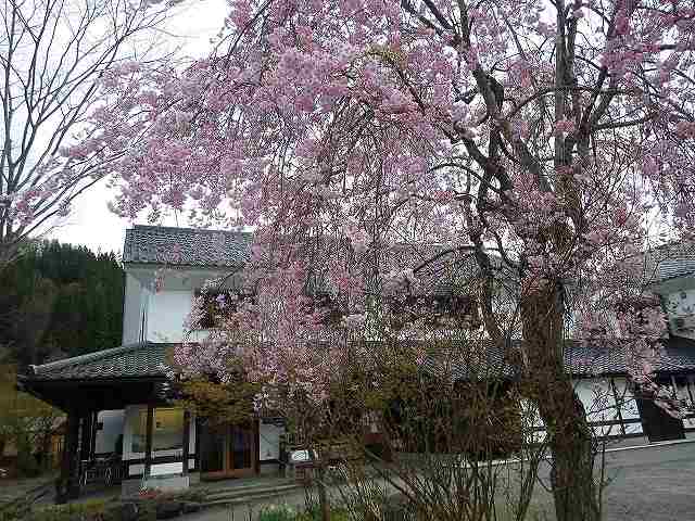 f:id:mannenNA:20200503214038j:plain